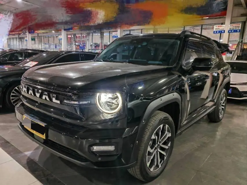 Haval 2026 big dog PLUS 2.0T four-wheel drive Chaoye version automatic gear - View 1