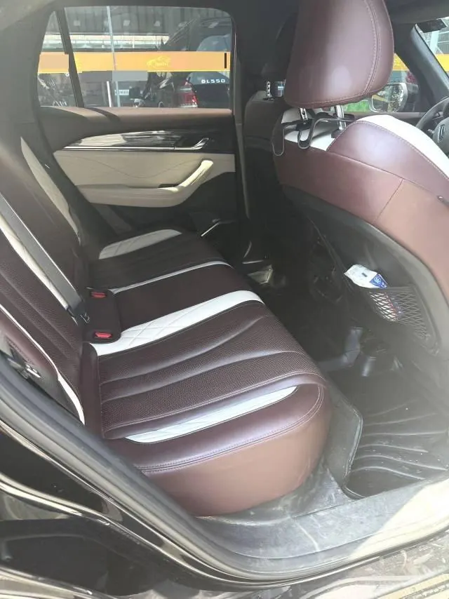 Geely 2021 XingyueL (Monjaro) 2.0TD EVO two-wheel drive distinguished automatic transmission 3