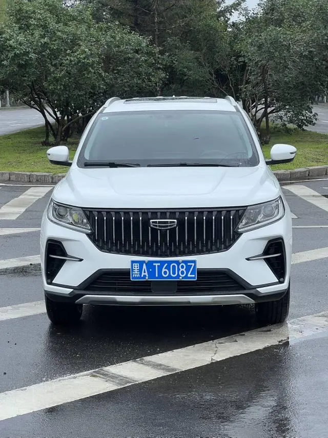 Geely Vision SUV(X6) 2021 Vision X6 Pro 1.4T Premium Automatic 3