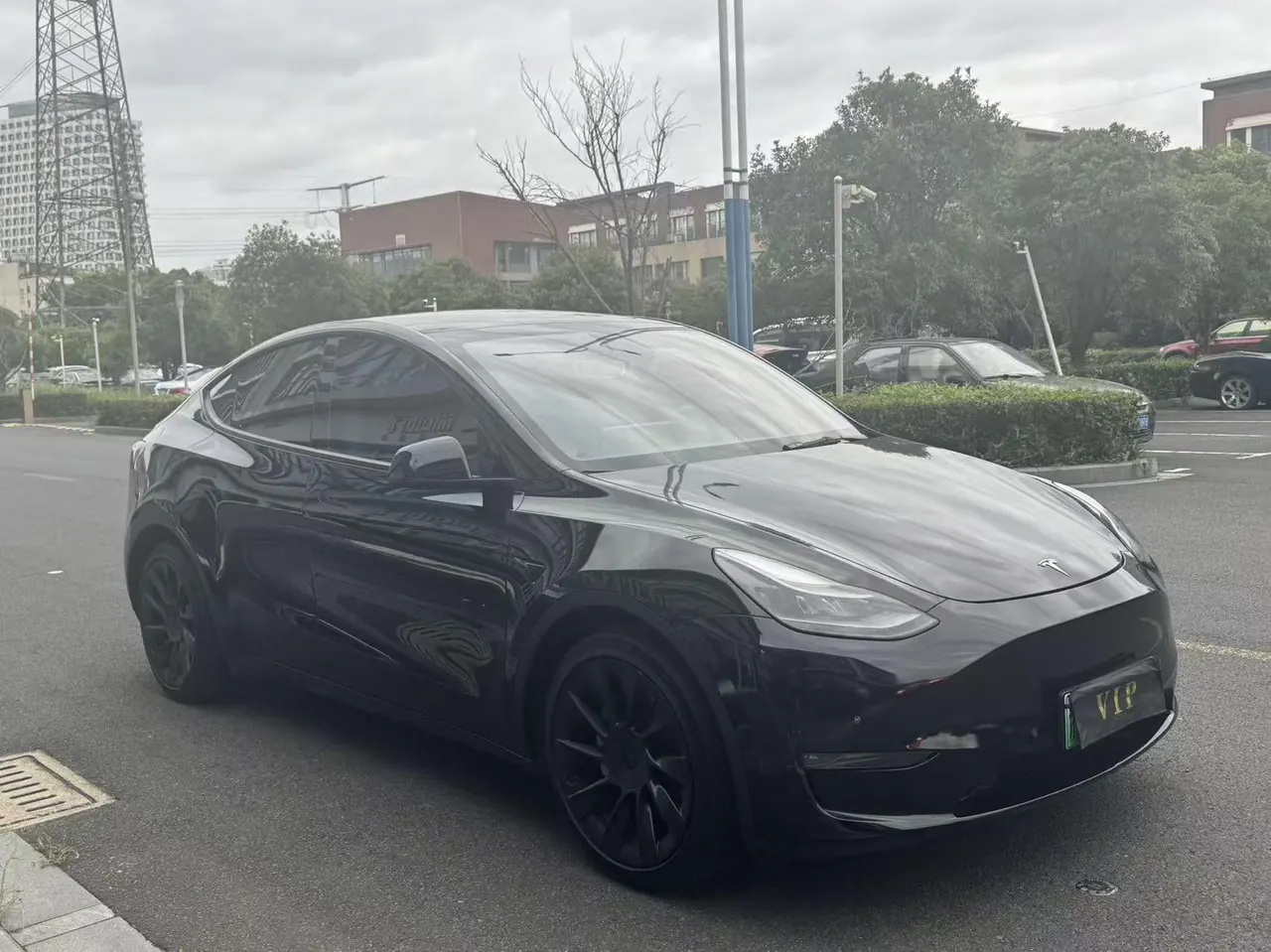 Tesla 2021 Model Y Standard Endurance Rear Drive Automatic Gear 3