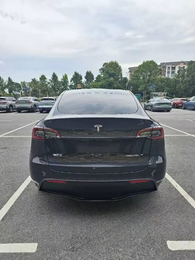 Tesla 2023 Model Y rear-wheel drive version automatic transmission 9