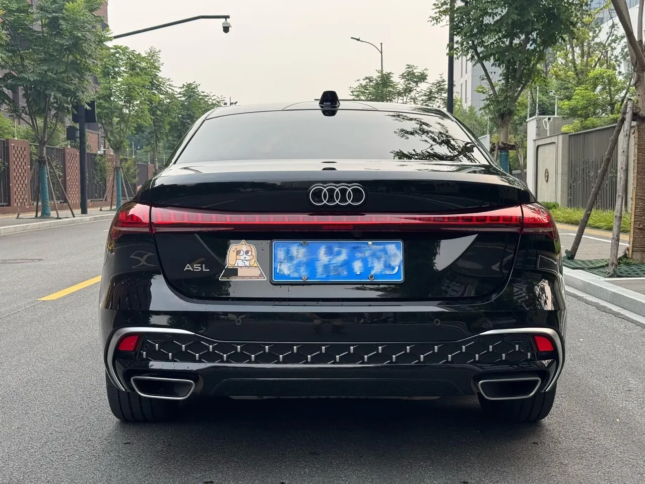 Audi 2026 A5L 2.0T Dry Kun Smart Driving Edition Automatic Gear 7