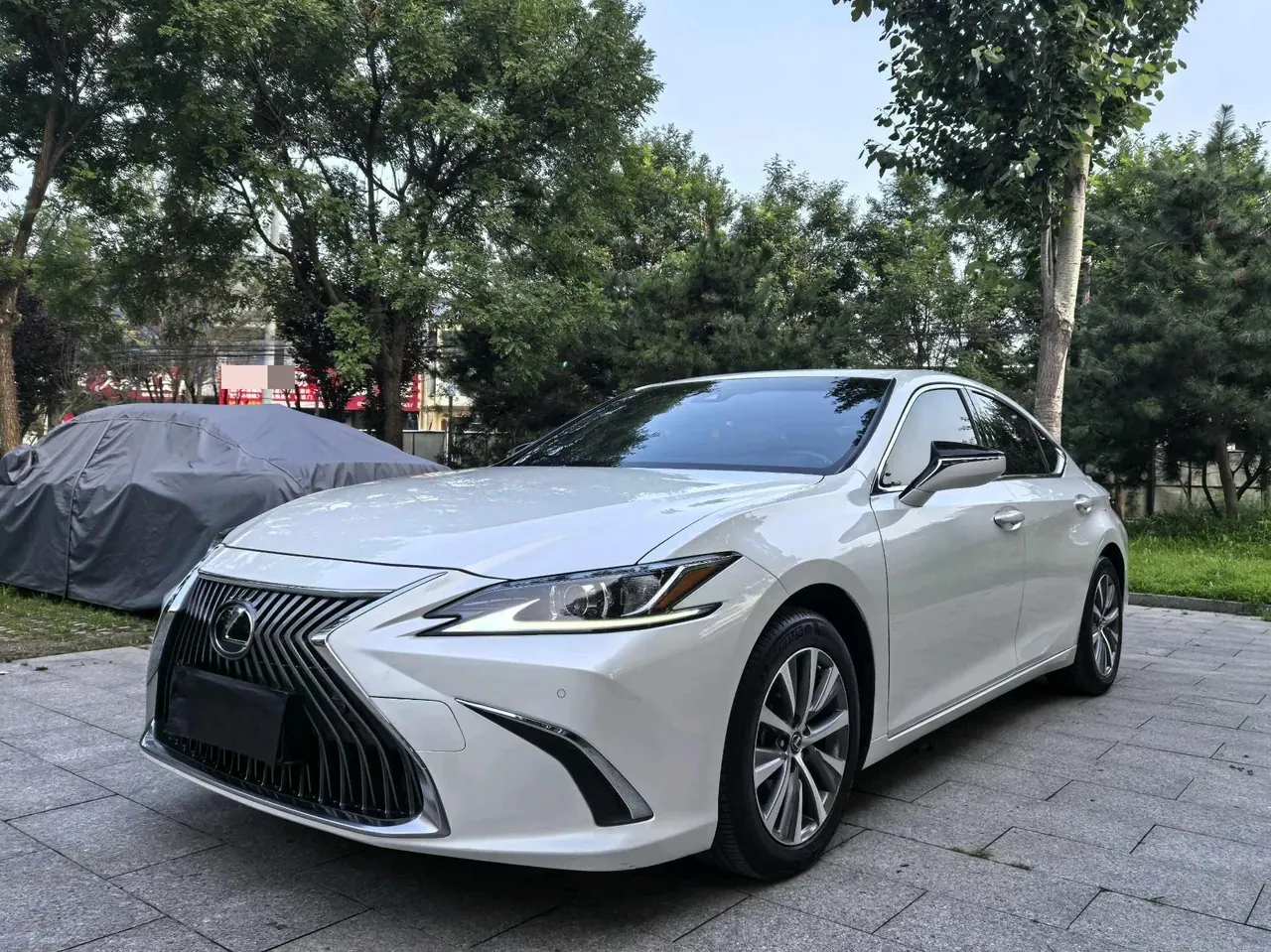 Lexus ES (Imported) 2020 ES200 2.0 Stepless Premium Edition Automatic Gear - View 1