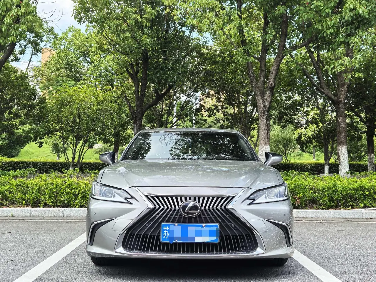 Lexus ES (Imported) 2020 ES200 2.0 Stepless Premium Edition Automatic Gear 2