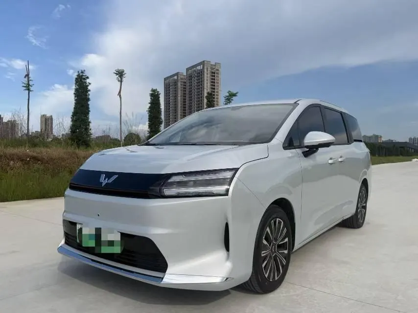 WuLing 2025 Starlight 730 500km Luxury Automatic Gear - View 1