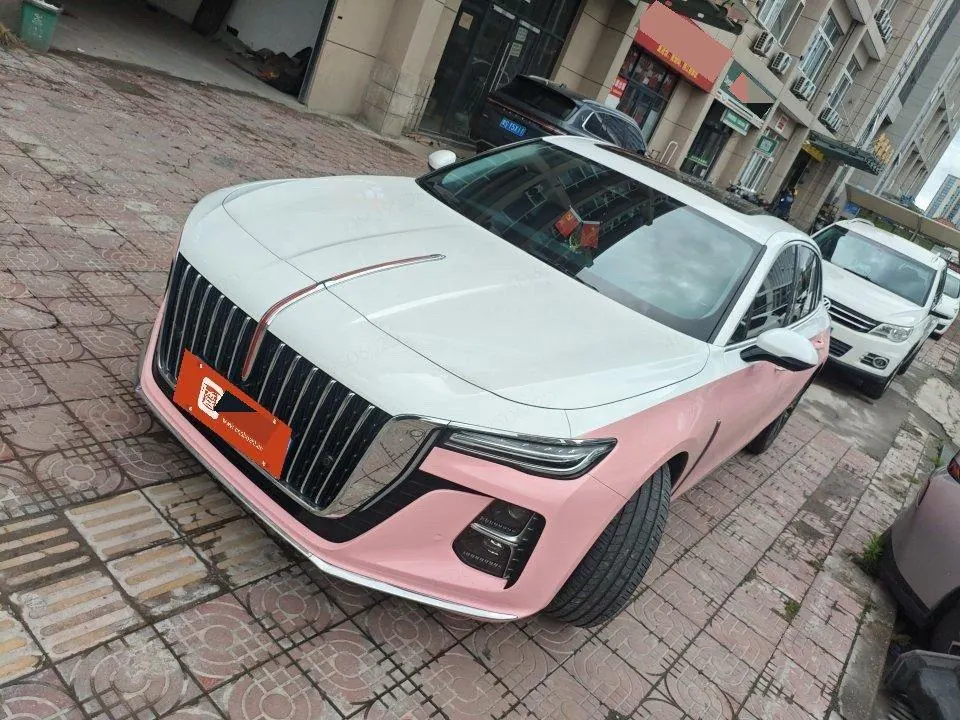 HongQi 2024 H5 2.0T Zhilian Qi Chang Edition Automatic Gear - View 1