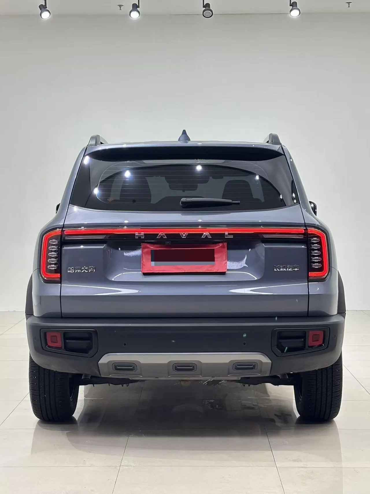 Haval 2024 big dogs 1.5T border animal husbandry version of automatic gear 8