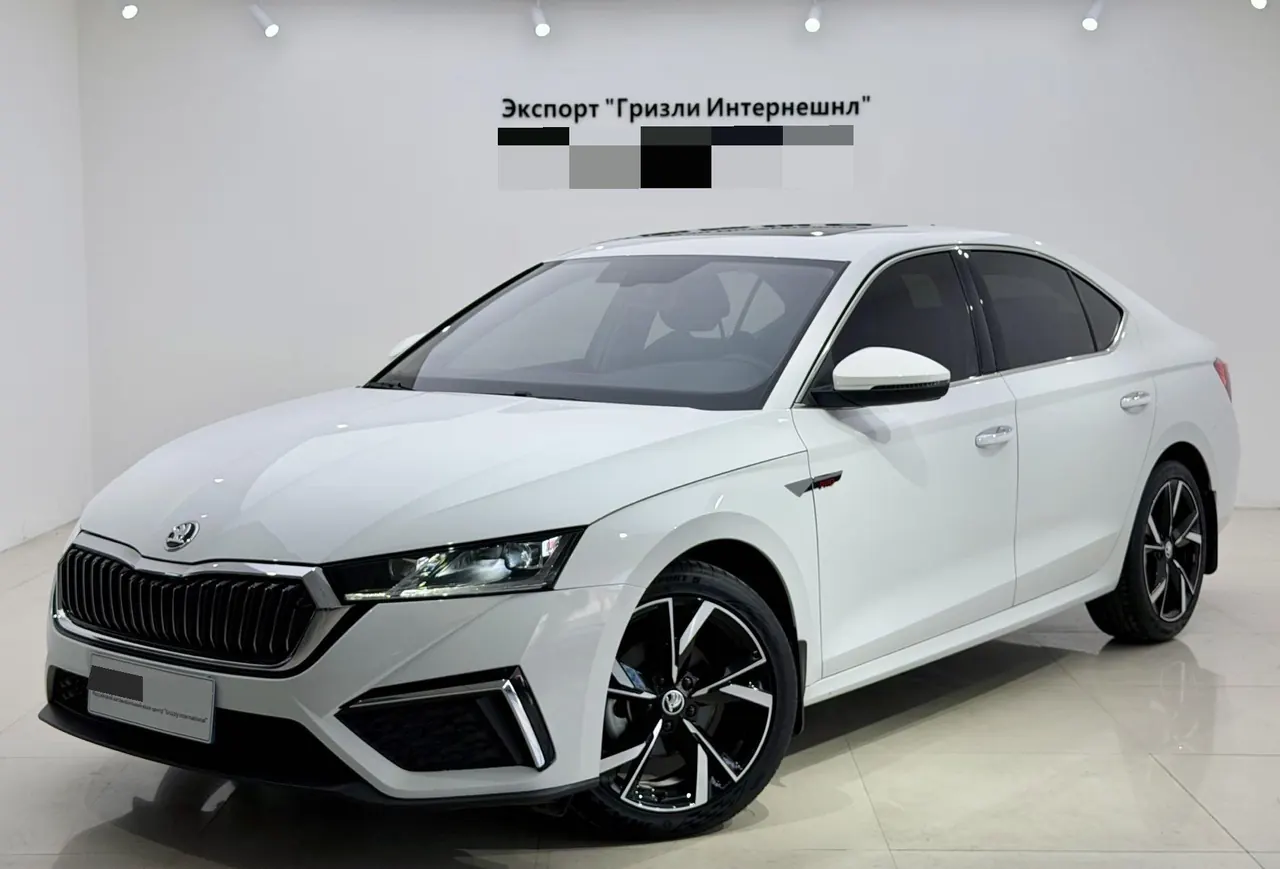 Skoda 2023 Ming Rui PRO 1.4TSI TSI280 Luxury Edition Automatic Gear - View 1