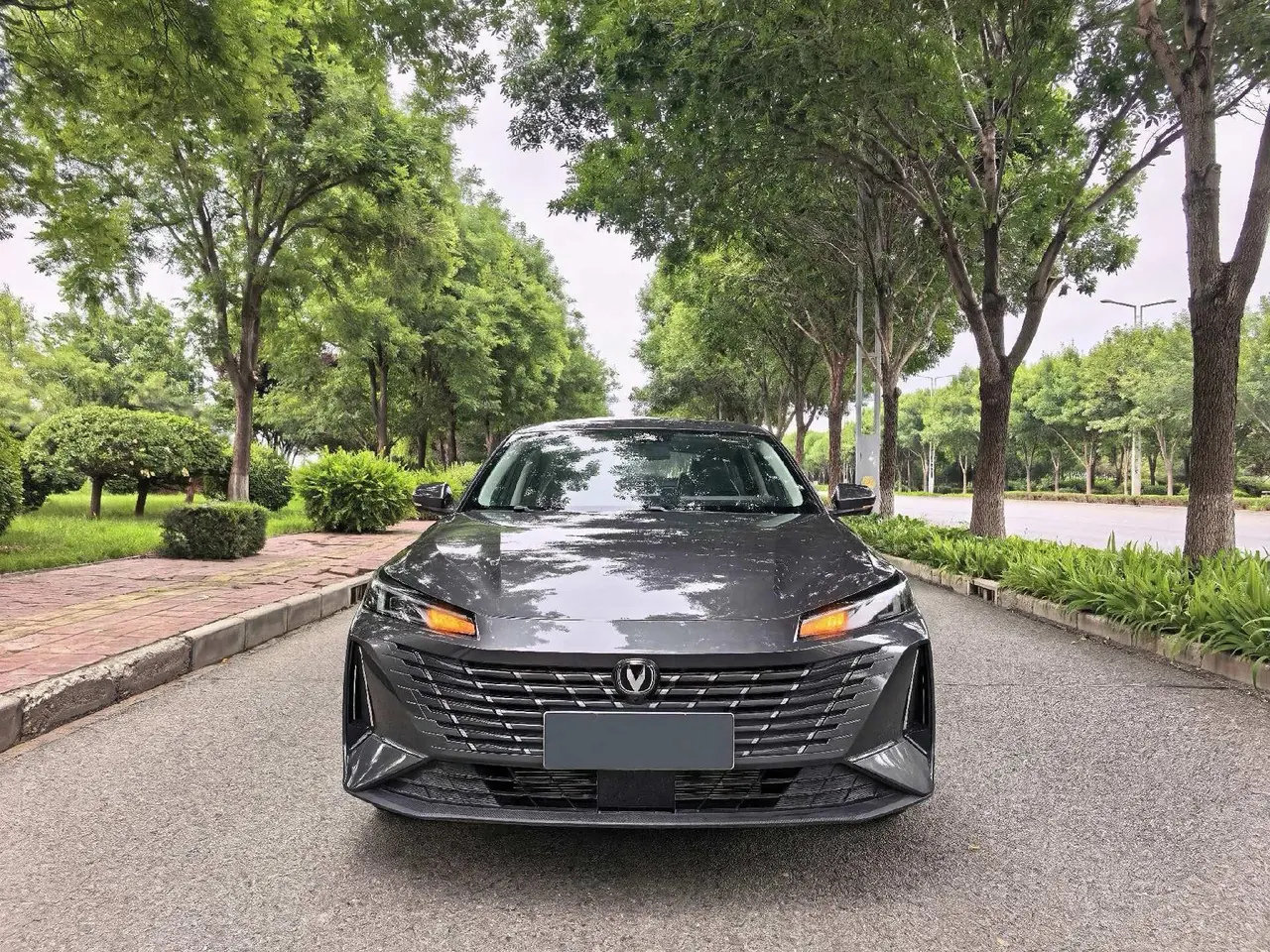 ChangAn Yidong New Energy 2025 Yidong PHEV 1.5 Stepless Smart New Blue Whale 145KM Battleship Edition Automatic Gear 3