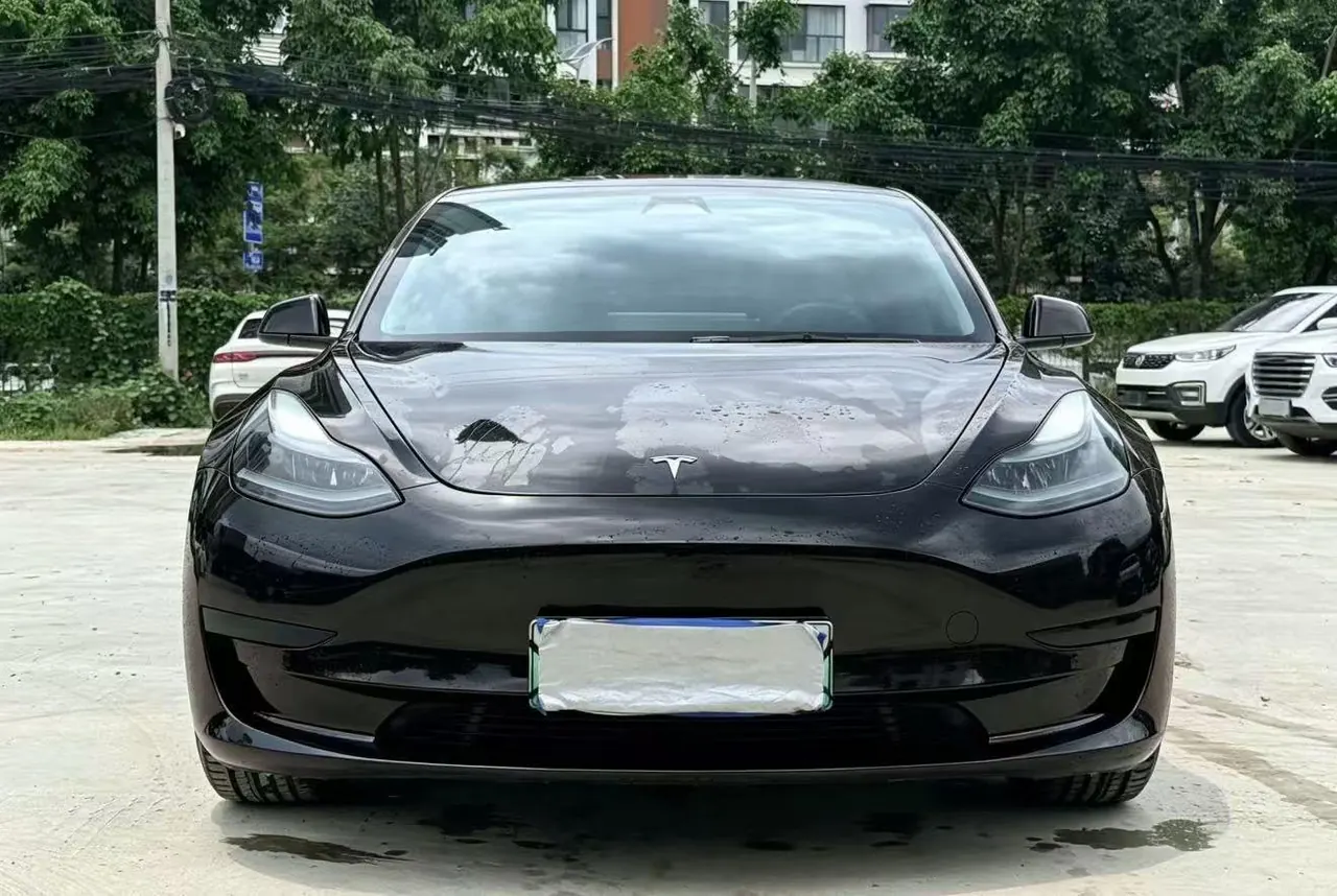 Tesla 2021 Model 3 Standard Endurance Rear Drive Upgraded Automatic Gear 3