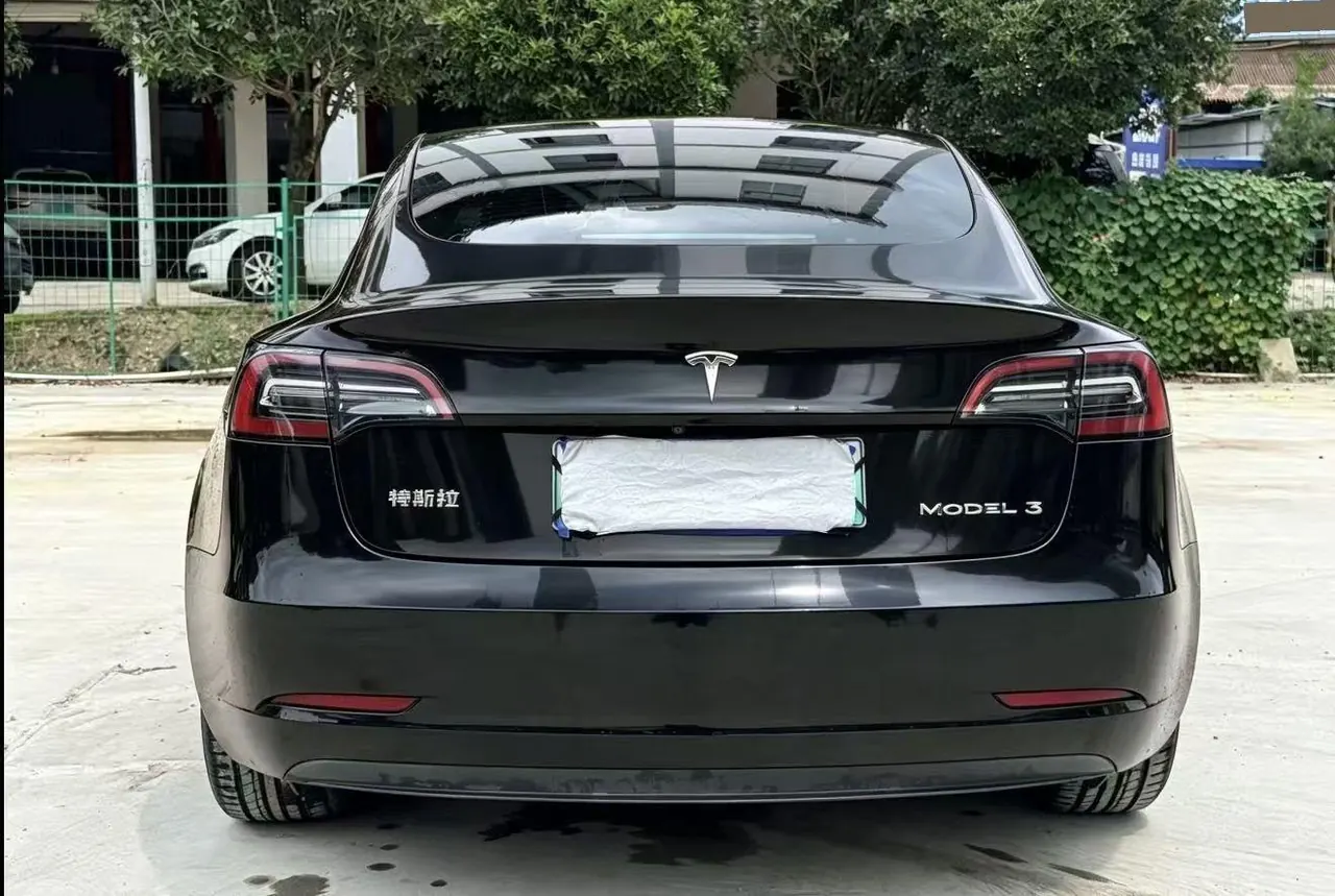 Tesla 2021 Model 3 Standard Endurance Rear Drive Upgraded Automatic Gear 5