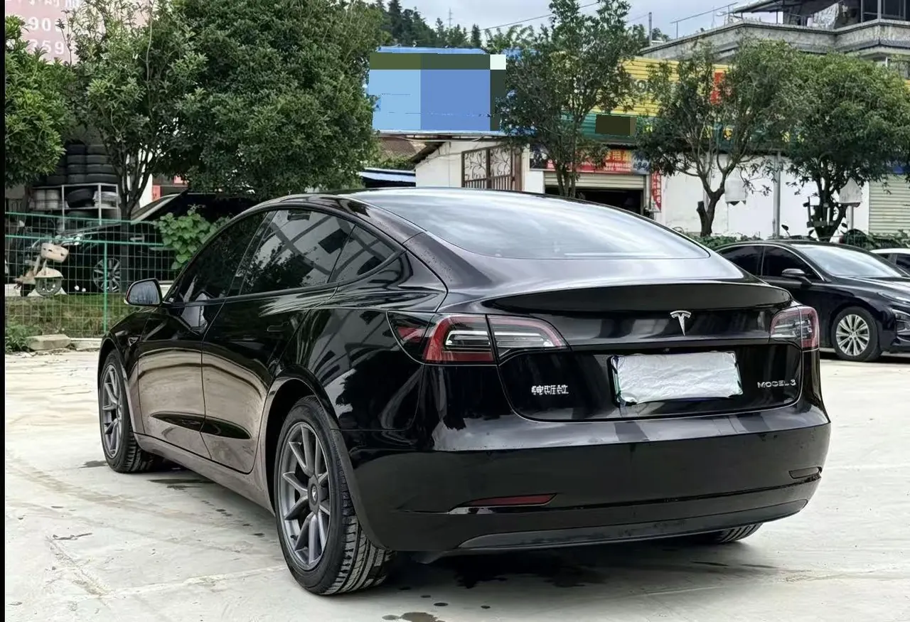 Tesla 2021 Model 3 Standard Endurance Rear Drive Upgraded Automatic Gear 6