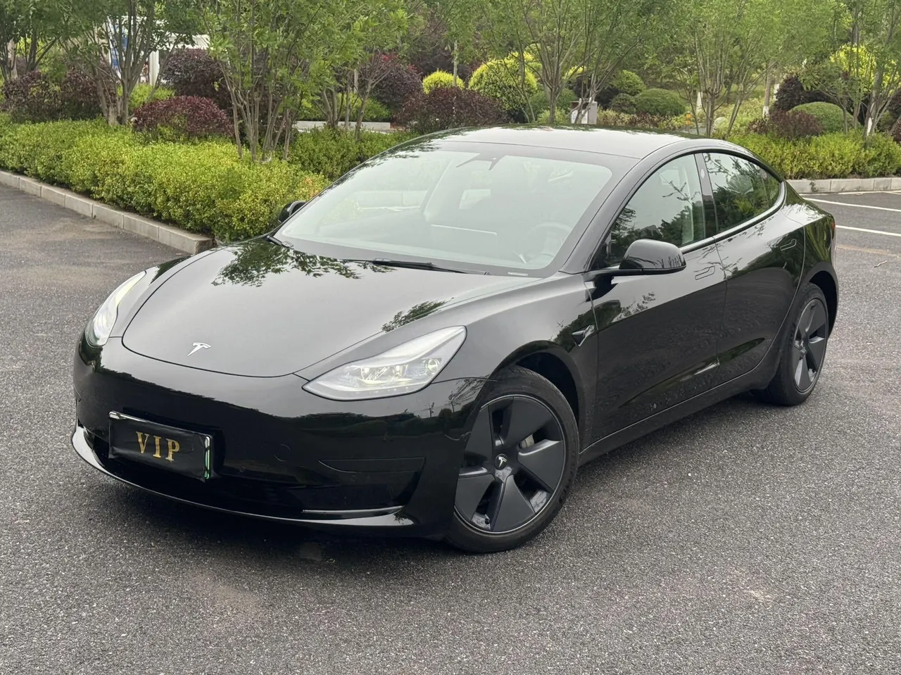 Tesla 2021 Model 3 Standard Endurance Rear Drive Upgraded Automatic Gear - View 1