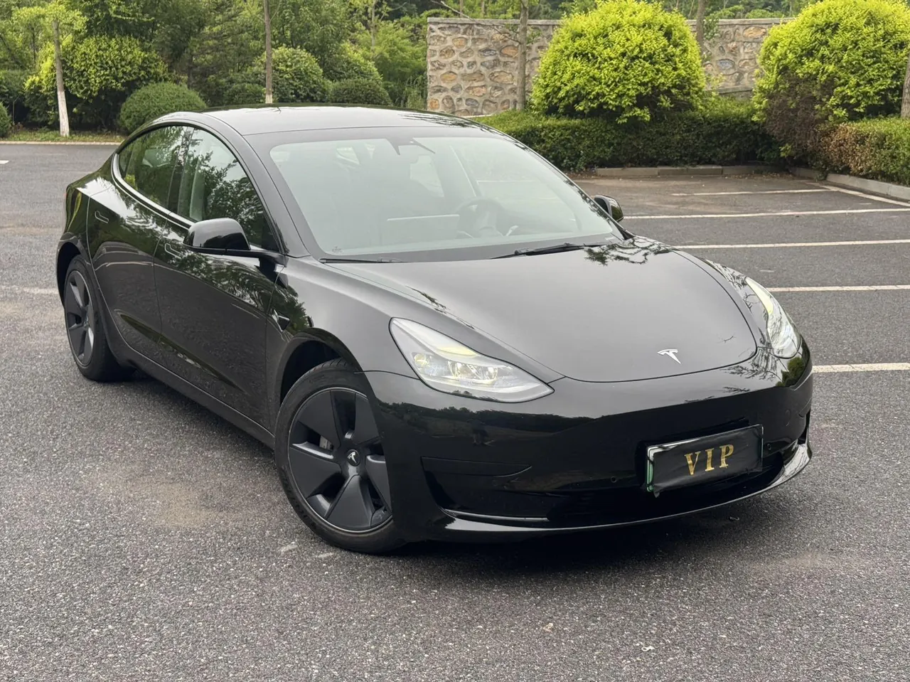 Tesla 2021 Model 3 Standard Endurance Rear Drive Upgraded Automatic Gear 2
