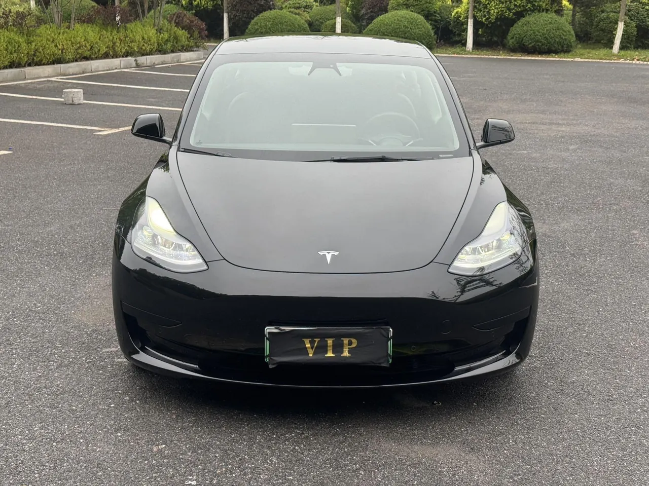 Tesla 2021 Model 3 Standard Endurance Rear Drive Upgraded Automatic Gear 3