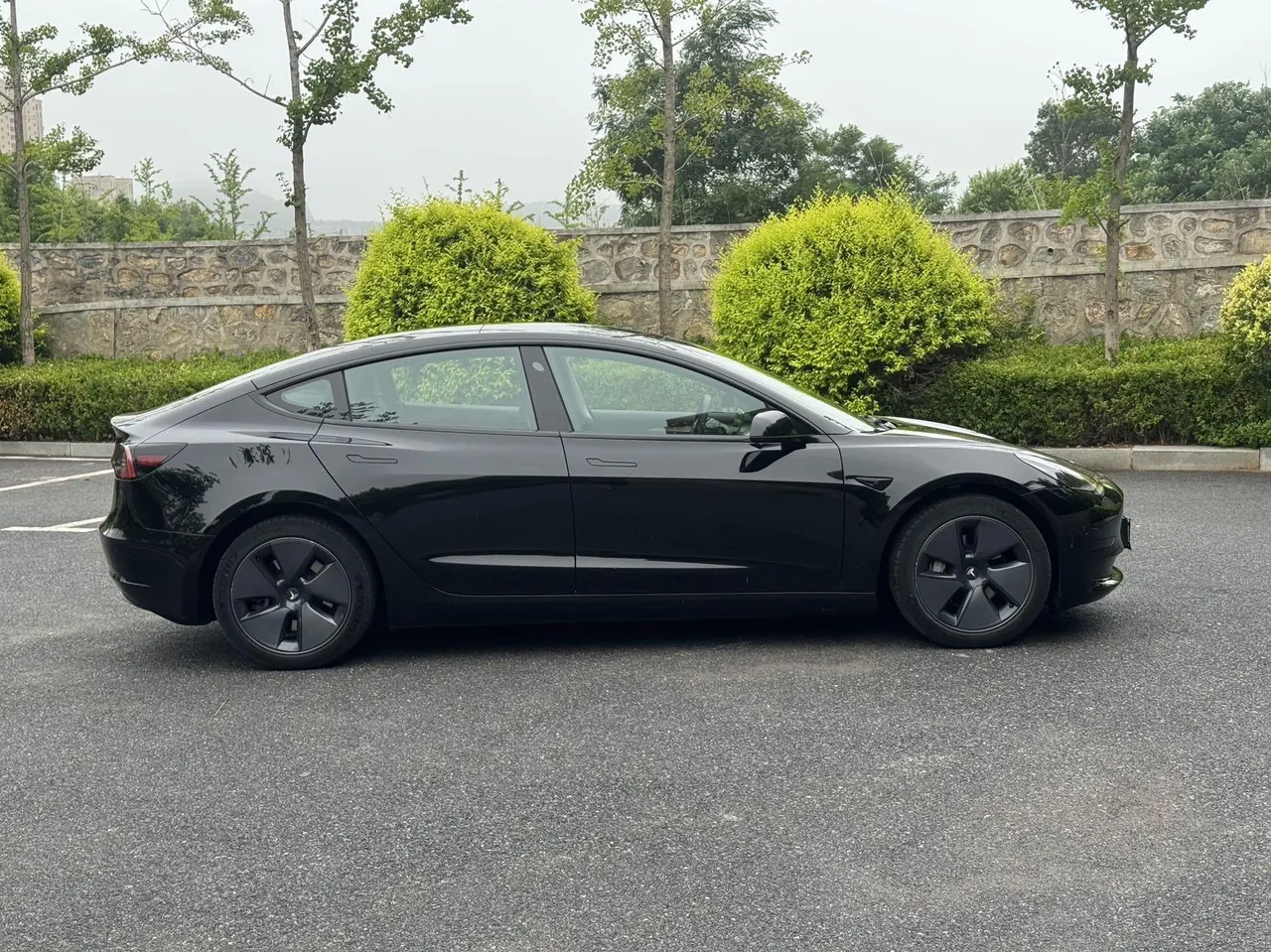 Tesla 2021 Model 3 Standard Endurance Rear Drive Upgraded Automatic Gear 4
