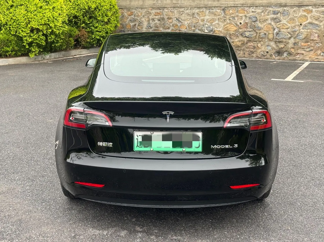 Tesla 2021 Model 3 Standard Endurance Rear Drive Upgraded Automatic Gear 5