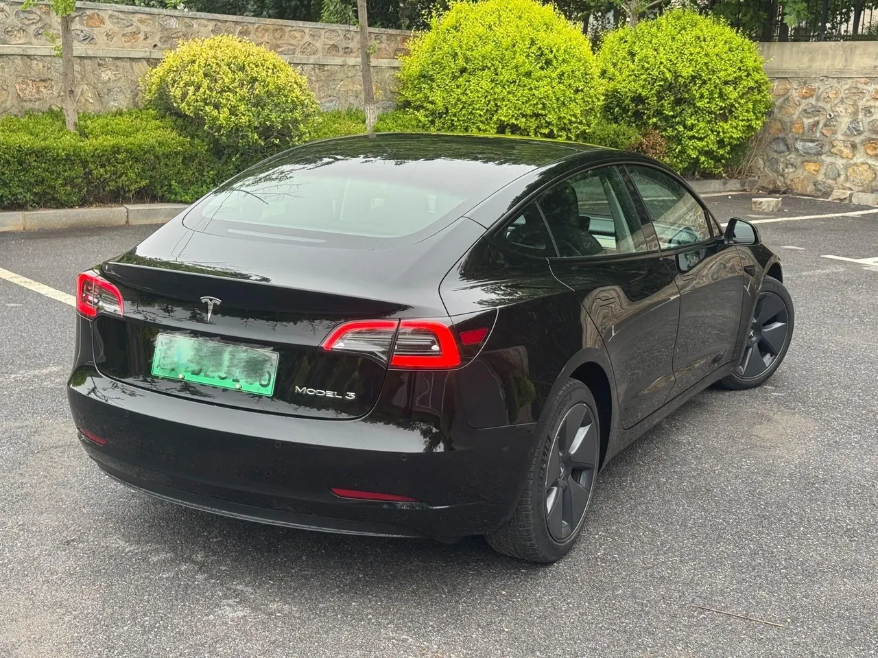 Tesla 2021 Model 3 Standard Endurance Rear Drive Upgraded Automatic Gear 6