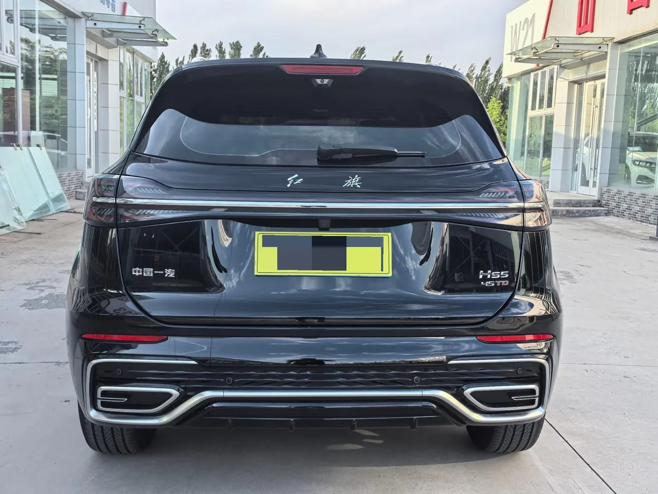HongQi 2025 HS5 2.0T Two-Drive Flag Enjoy Pro Edition Automatic Gear 9