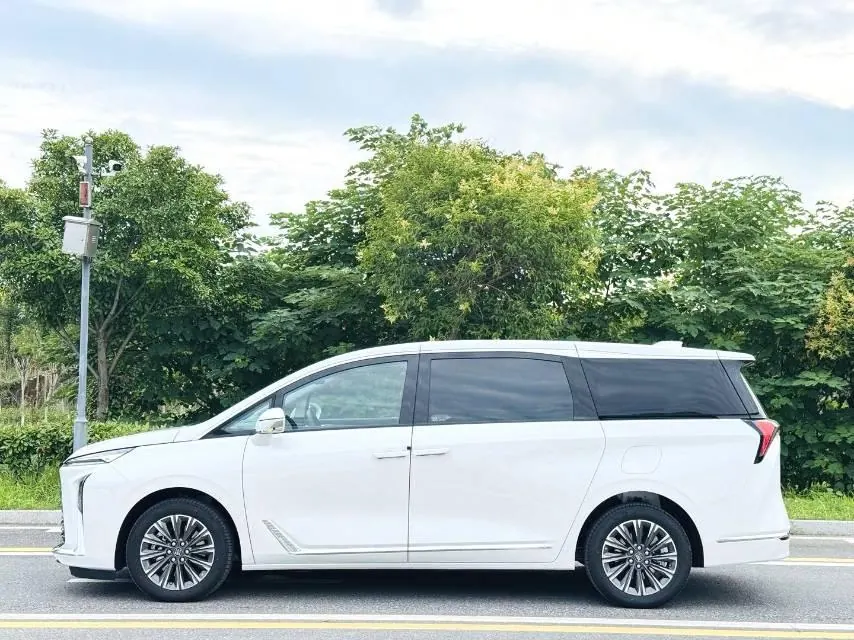 Buick 2025 GL8 ES Lu Zun 48V 2.0T Premium Edition Automatic Gear 17