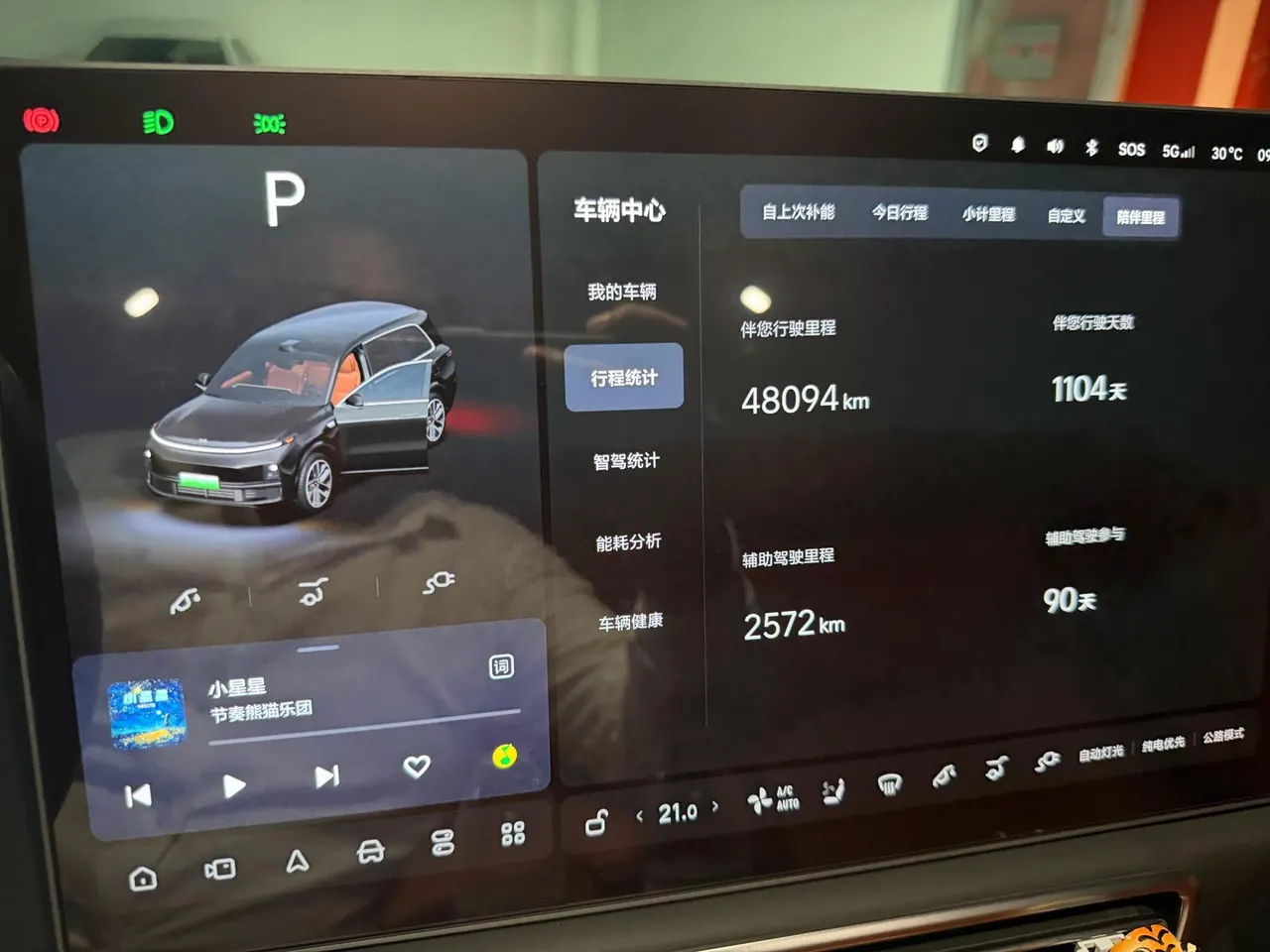 Li 2022 L9 1.5T Max Edition Automatic Gear 10