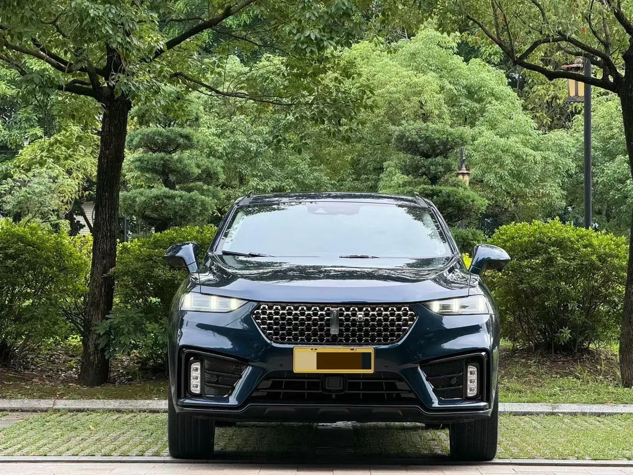 WEY 2020 VV7 2.0T Flagship Automatic Gear 2