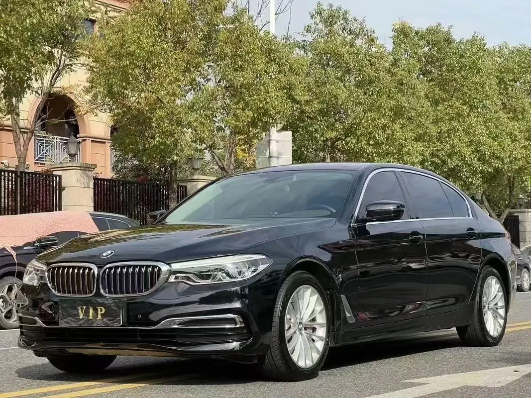 BMW 5 Series 2020 530Li 2.0T Premium Luxury Suit Automatic Gear - View 1