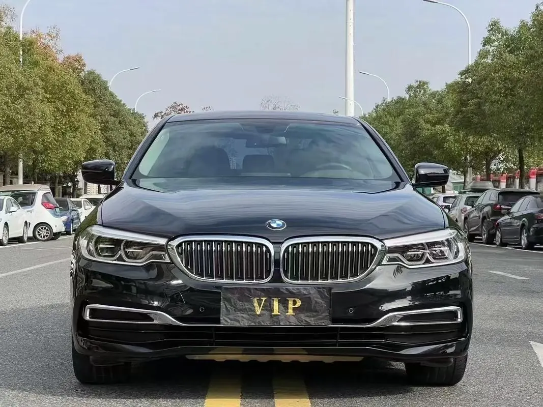 BMW 5 Series 2020 530Li 2.0T Premium Luxury Suit Automatic Gear 2