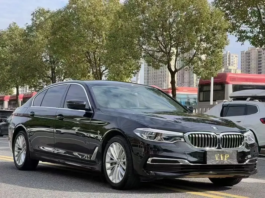 BMW 5 Series 2020 530Li 2.0T Premium Luxury Suit Automatic Gear 3