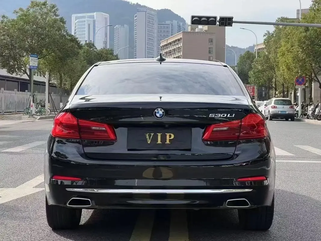 BMW 5 Series 2020 530Li 2.0T Premium Luxury Suit Automatic Gear 4