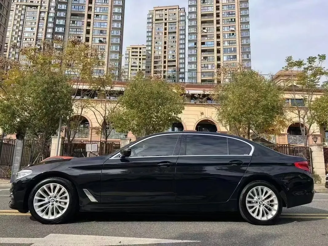 BMW 5 Series 2020 530Li 2.0T Premium Luxury Suit Automatic Gear 5