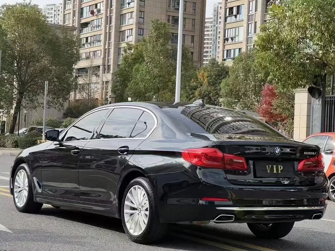 BMW 5 Series 2020 530Li 2.0T Premium Luxury Suit Automatic Gear 6
