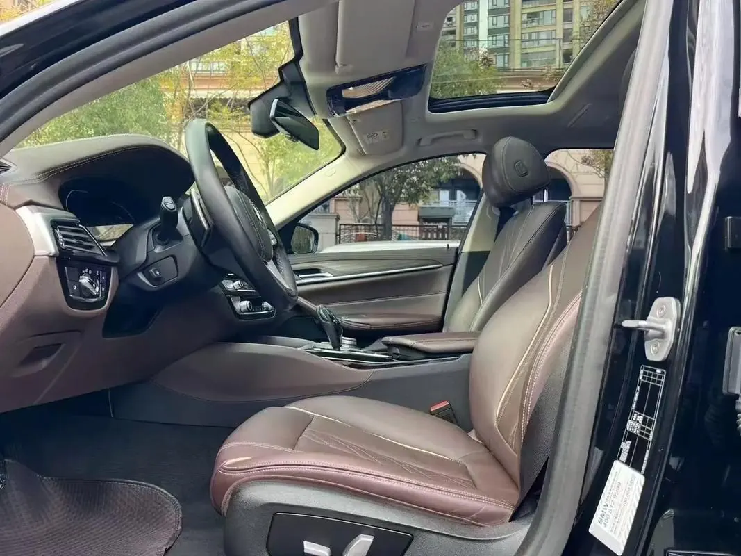 BMW 5 Series 2020 530Li 2.0T Premium Luxury Suit Automatic Gear 7