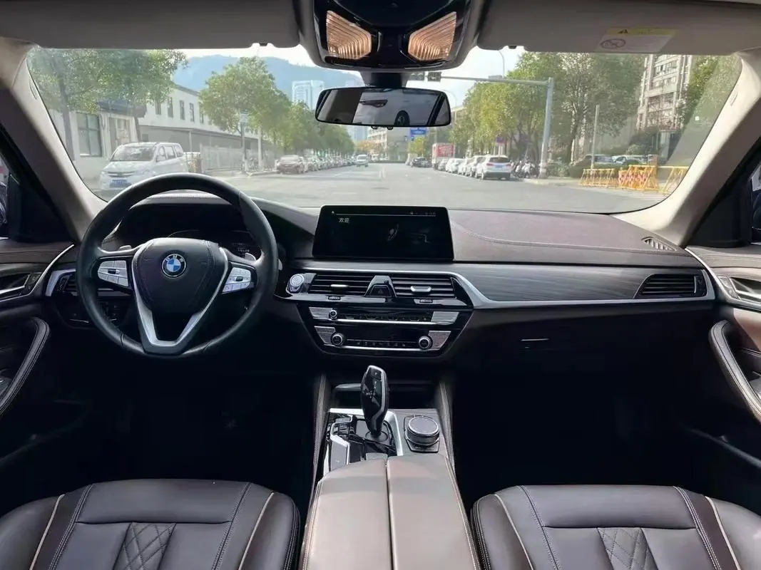 BMW 5 Series 2020 530Li 2.0T Premium Luxury Suit Automatic Gear 8