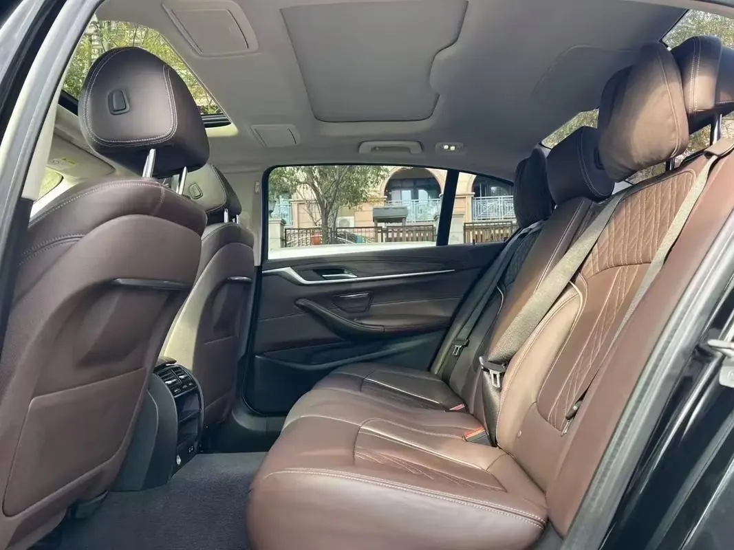 BMW 5 Series 2020 530Li 2.0T Premium Luxury Suit Automatic Gear 9