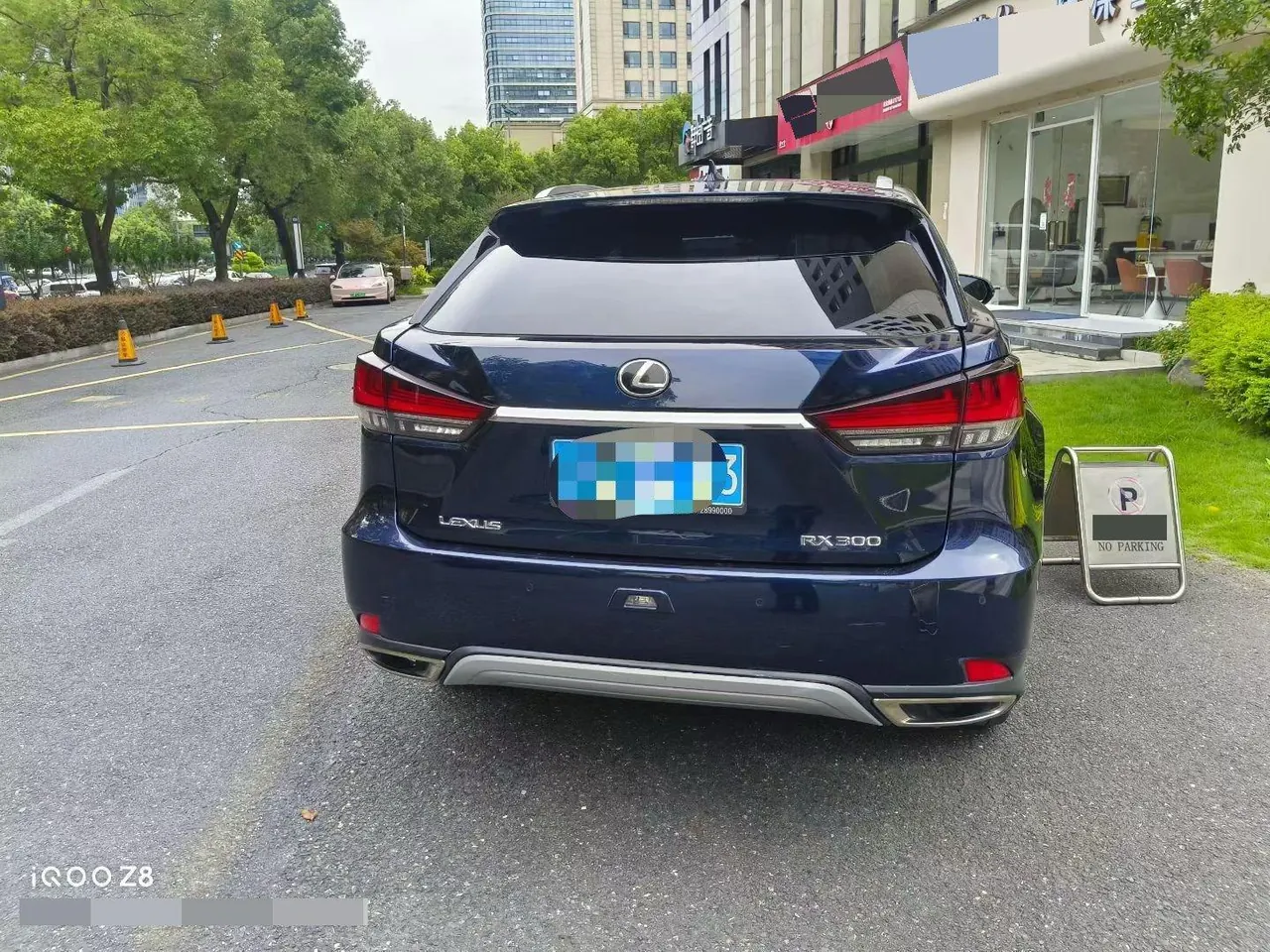 Lexus RX (Imported) 2020 RX300 2.0T Four-wheel Drive Elegant Automatic Gear 5