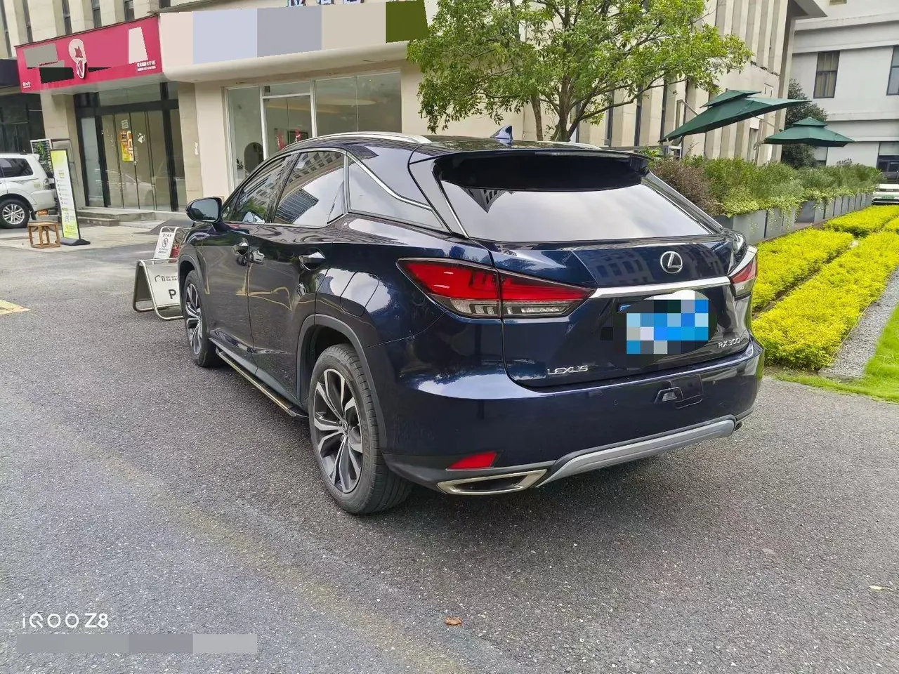Lexus RX (Imported) 2020 RX300 2.0T Four-wheel Drive Elegant Automatic Gear 6