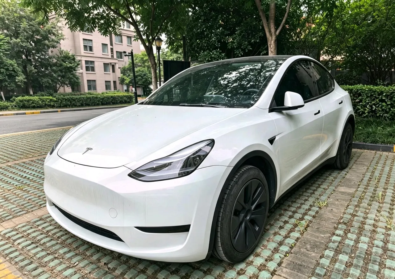 Tesla 2024 Model Y rear-wheel drive version automatic transmission - View 1