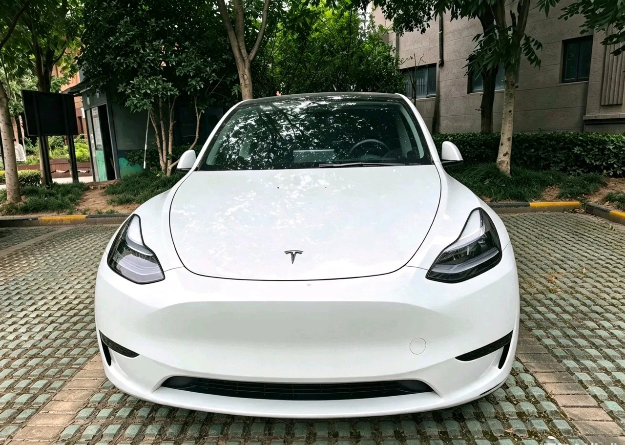 Tesla 2024 Model Y rear-wheel drive version automatic transmission 2
