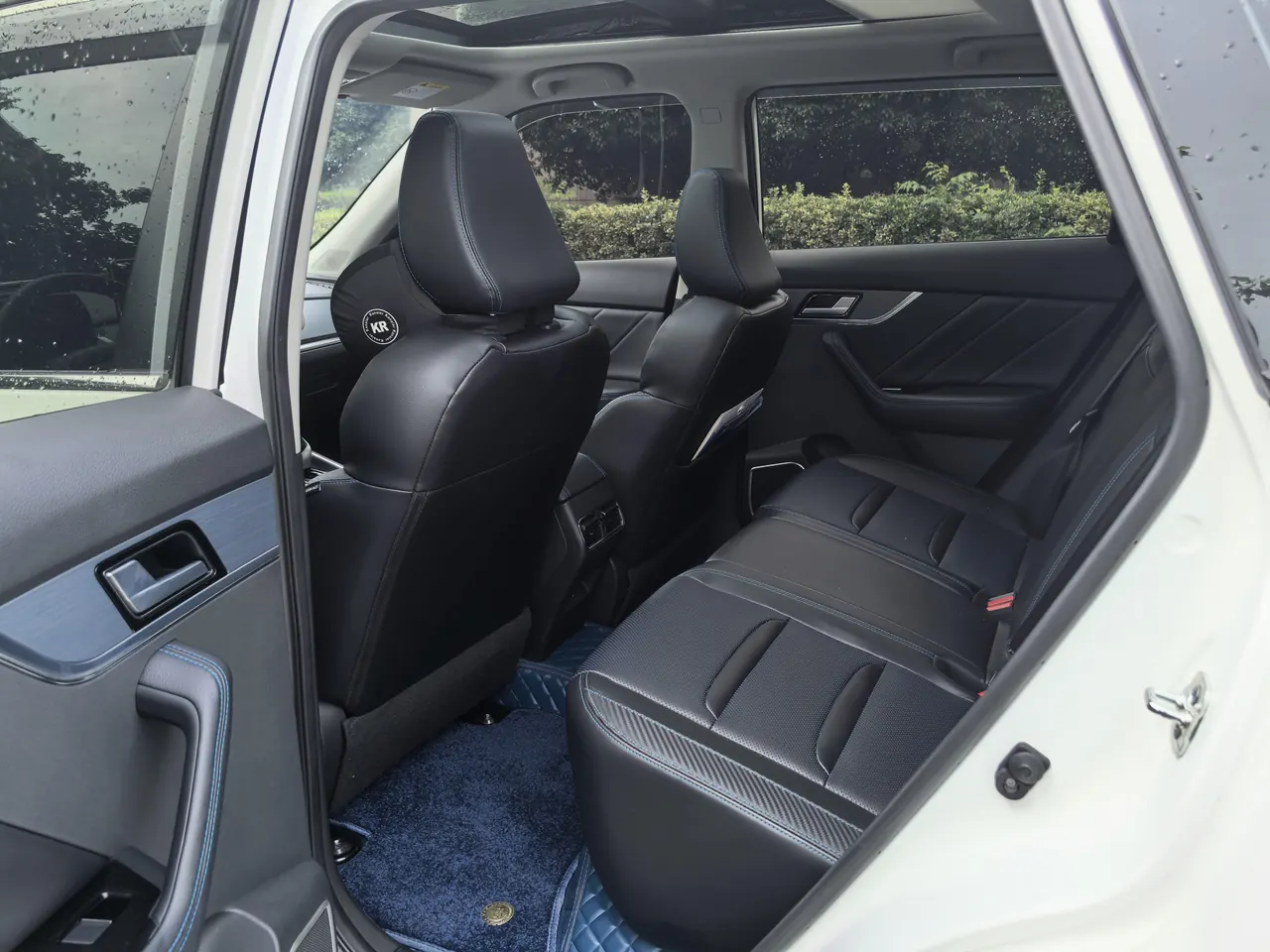 Venucia T60 New Energy 2020 T60 EV AI Exclusive Automatic Transmission 6