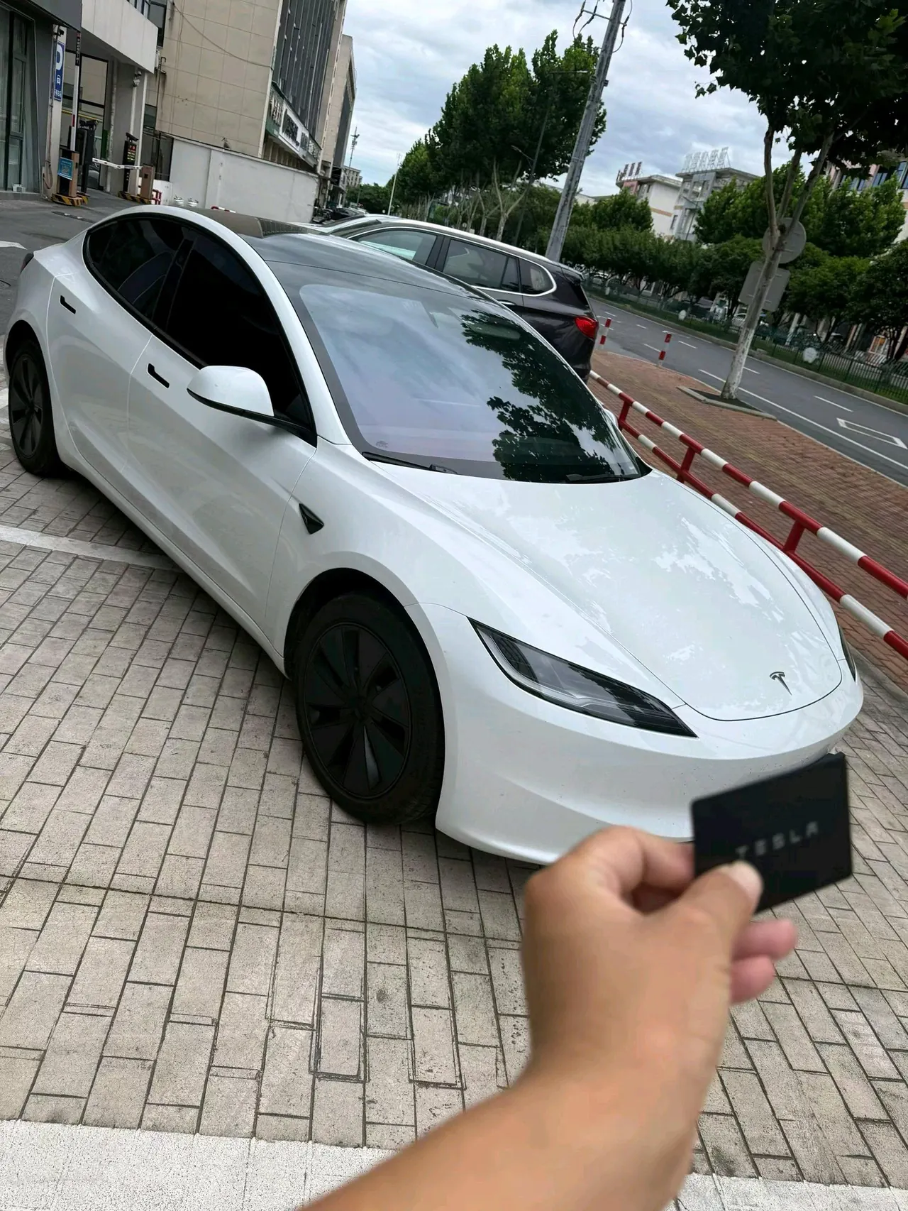 Tesla 2025 Model 3 Rear-Wheel-Drive Edition (facelift) Automatic Transmission 3