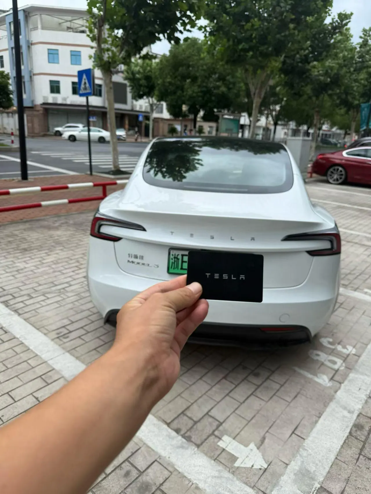 Tesla 2025 Model 3 Rear-Wheel-Drive Edition (facelift) Automatic Transmission 4