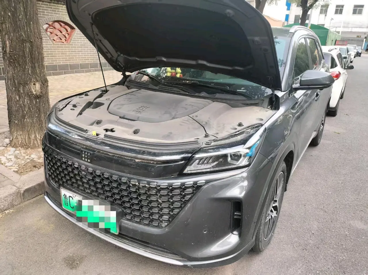 LanDian 2024 LanDian E5 1.5 Stepless Glory Edition 100KM Enjoy 7-seat Automatic Gear 2