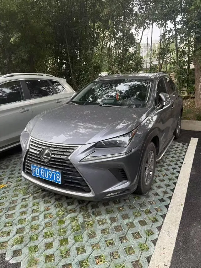 Lexus NX (Imported) 2020 NX200 2.0 Stepless Front Edition Automatic Gear - View 1