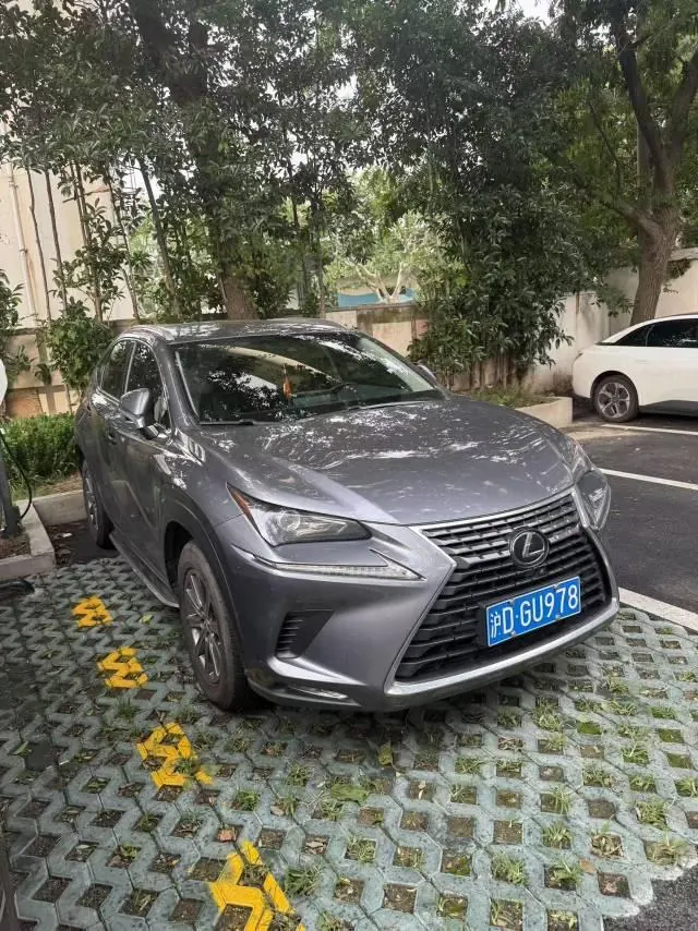 Lexus NX (Imported) 2020 NX200 2.0 Stepless Front Edition Automatic Gear 2