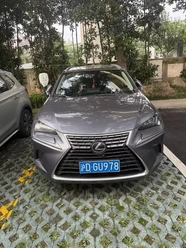 Lexus NX (Imported) 2020 NX200 2.0 Stepless Front Edition Automatic Gear 3