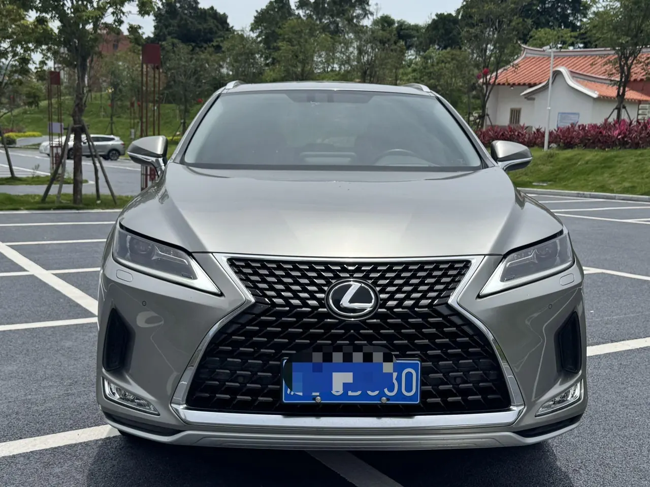 Lexus RX (Imported) 2020 RX300 2.0T Two-Drive Elite Edition (Revised) Automatic Gear 2