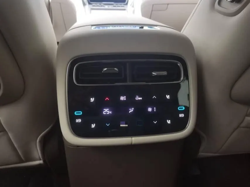 Denza 2023 Denza N8 1.5T Stepless Four-wheel Drive Super Hybrid Flagship Six-seat Automatic Gear 6