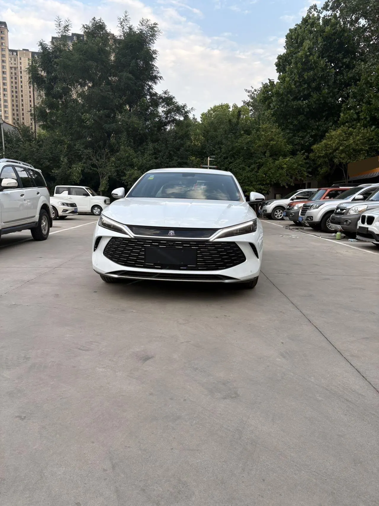 BYD 2026 Qin L DM-i 1.5 stepless 128KM aggressive automatic gear 2