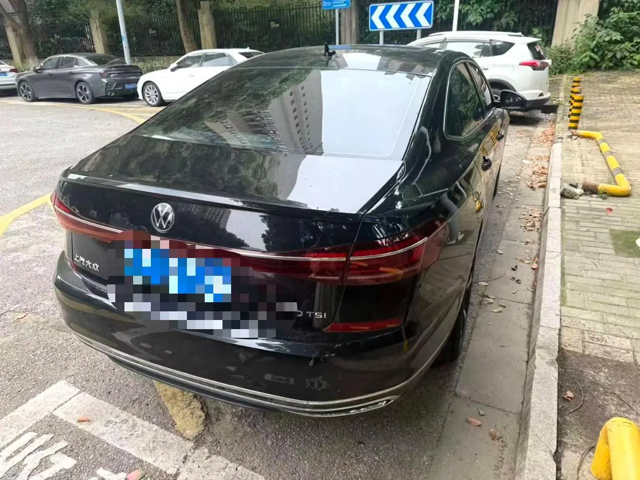 Volkswagen 2025 Passat 2.0TSI 380TSI outstanding star dragon version automatic gear 4